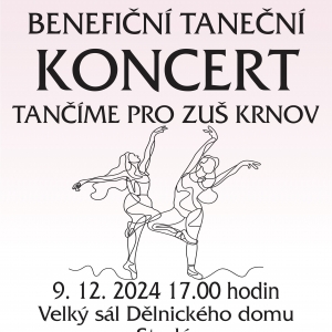 Benefiční taneční koncert / Příspěvek